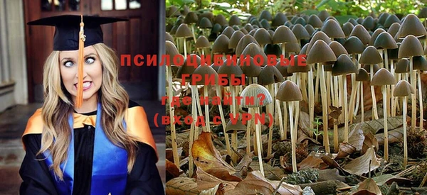 jwh Новозыбков