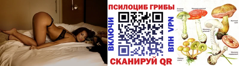 Псилоцибиновые грибы мухоморы  как найти наркотики  Советск 
